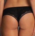 brazyliany_anita_1335_001_tyl_selma.jpg