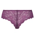 brazyliany_Anita_1388_380_rosa_faia_bobette_tyl_bm.jpg