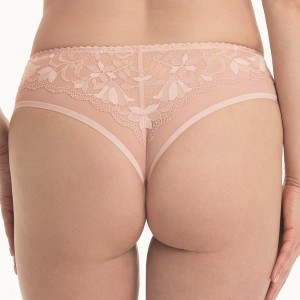 brazyliany Anita 1365 /594 Sita Rosa Faia 