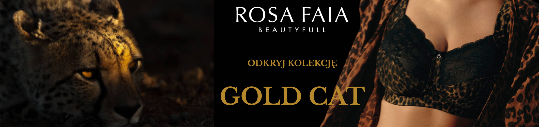 gold cat